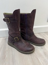 Gorgeous Moshulu Nightjar