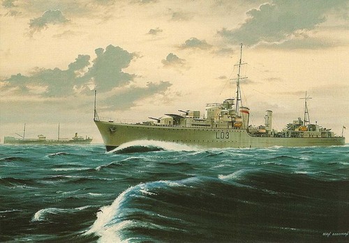 Tribal class destroyer - (b24),