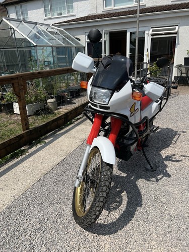 Honda 650 dominator - 650,