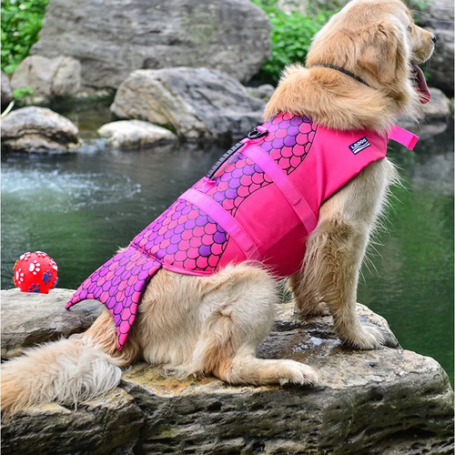 Dog life jacket - life,