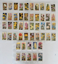 W.D. & H.O. WILLS Cigarette