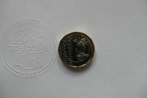 Rare king charles bee - 1, pound