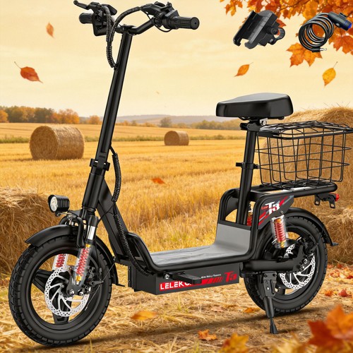 700w electric scooter - electric,