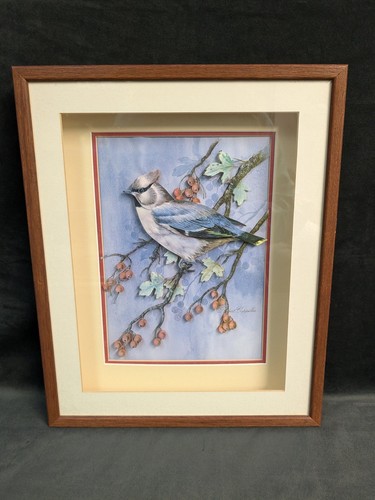 Framed blue jay bird - print, by