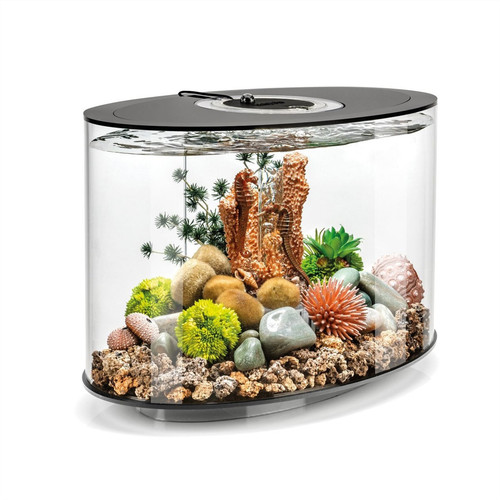 Biorb loop aquarium fish - biorb,