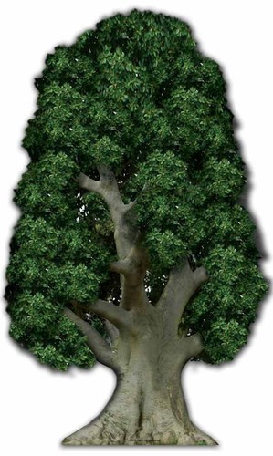 Large tree huge cardboard - large,