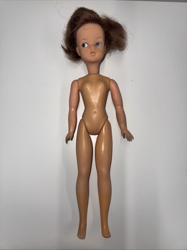 Vintage pedigree sindy doll - sindy,