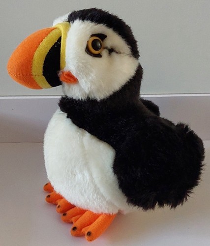 Living nature puffin bird - living,