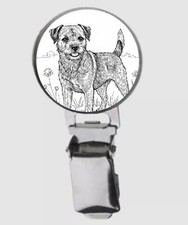 Border terrier dog on DOME Dog
