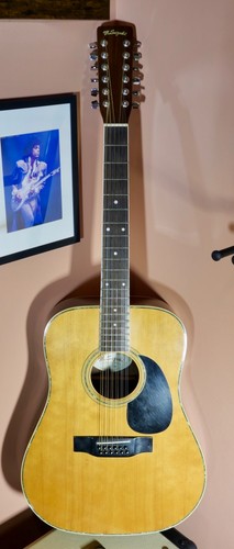 Suzuki 12 string - suzuki,