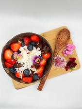 Handcrafted Coconut Bowl Set with Wooden Spoon With Free Silicone Base 