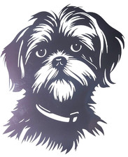 1x Shih Tzu Dog Decal Vinyl