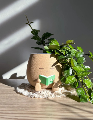 Tot with book - book, cozy