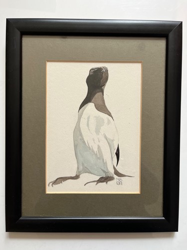 Framed watercolour razorbill - framed,