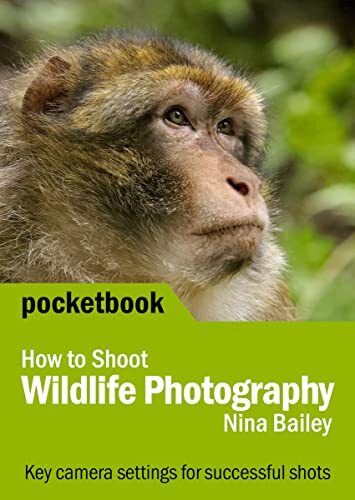 How shoot wildlife - to,