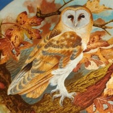 Coalport Collectors Plate BARN OWL - THE WISE OWL Boxed