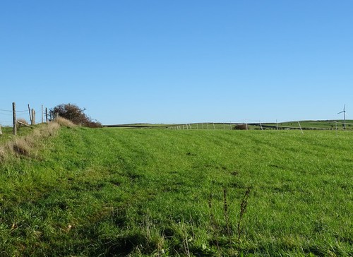 Photo 6x4 grazing - photo,
