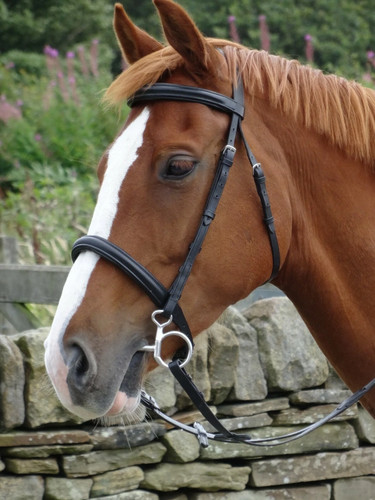 Clearance turners stunning - turners,