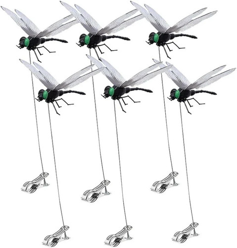 Pack dragonfly clip 3d - 6,