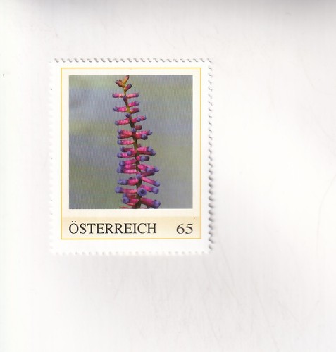 Stamp austria plants - stamp, match