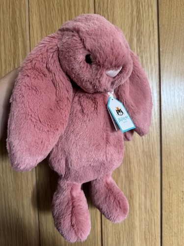 Jellycat sorrel bunny bnwt - jellycat,