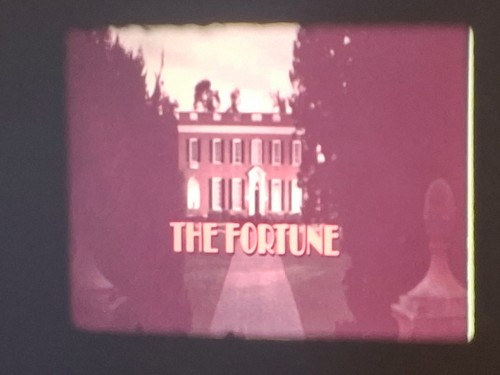 The fortune 1975 - the,