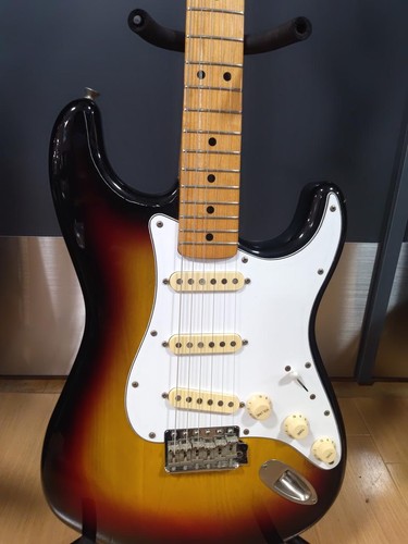 Fernandes fst ishi - "ishi, logo"
