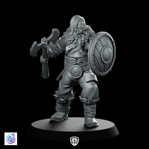 Axe and shield viking - and,