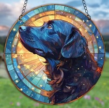 Labrador black dog stars - labrador,
