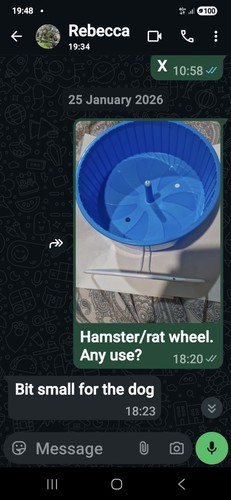 Hamster pet rat wheel - hamster/pet, wheel.