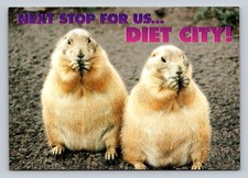 Vintage Prairie Dogs Postcard Next Stop Diet City Humor South Dakota