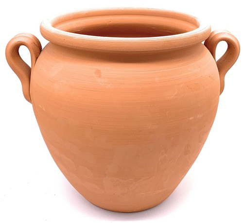 Ceramic plant pot with - plant,