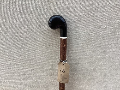 Buffalo horn walking hazel - buffalo,