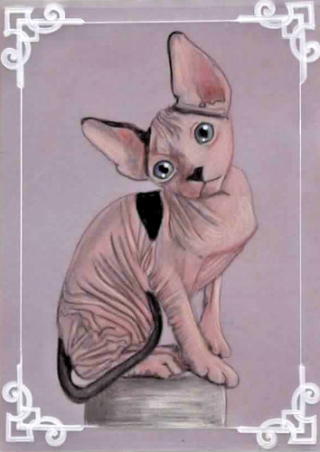 Parchment craft card hairless - ,