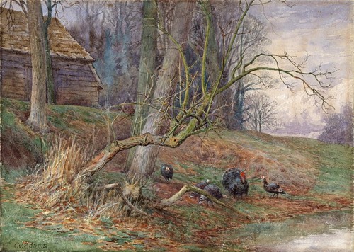 Charles james adams - charles,