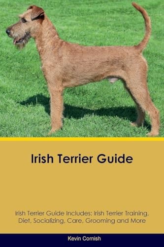 Irish terrier guide - terrier,