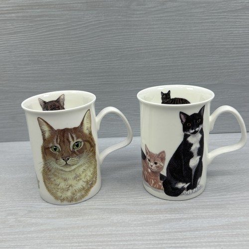 Roy kirkham cat - 2, cup