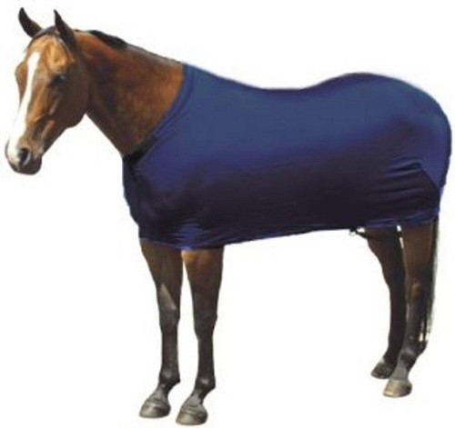 New sleazy sleepwear horse - new!,