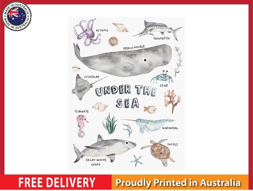 New under the - (laminated),