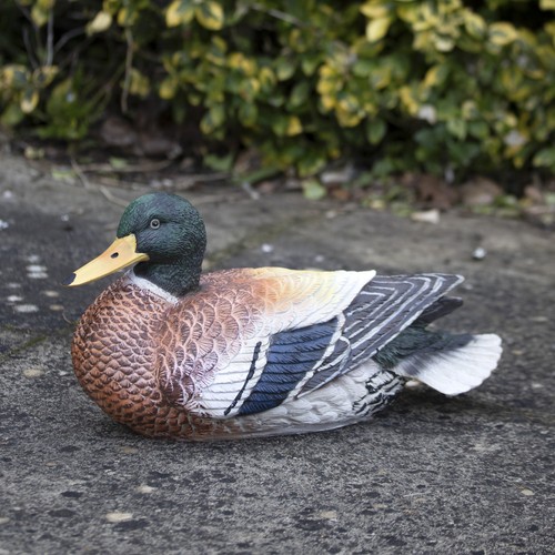 Content duck garden - content, ornament