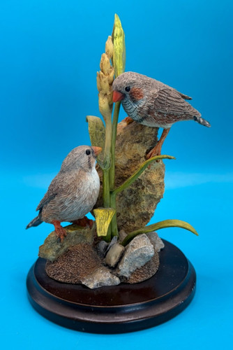 Zebra finch birds country - zebra, by