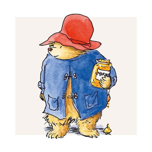 Peckish paddington bear with - bear,