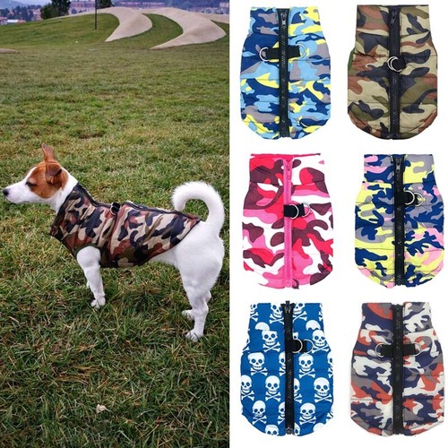 Winter dog clothes - winter,