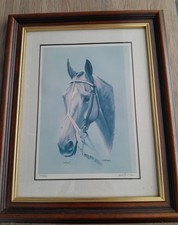 Mysilv Equine Portrait Horse