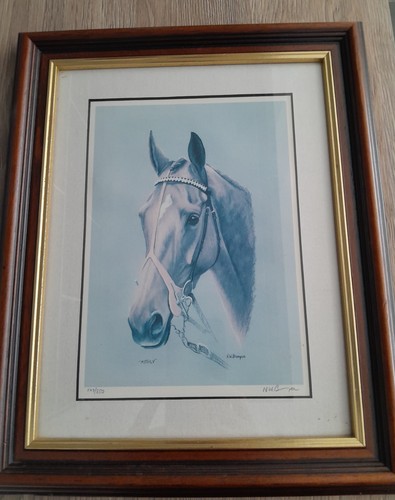 Mysilv equine portrait horse - mysilv,