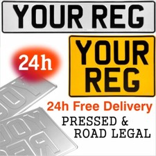 24h Delivery Pair Oblong and