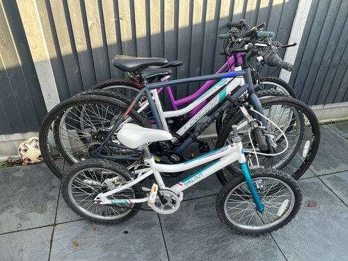 Bikes adults and one - 4,