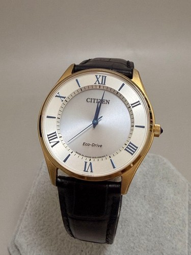 Citizen eco drive winter - citizen,