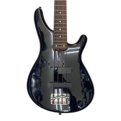 Yamaha motion 40 electric - b,