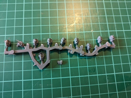 Space marine scout heads - scout,